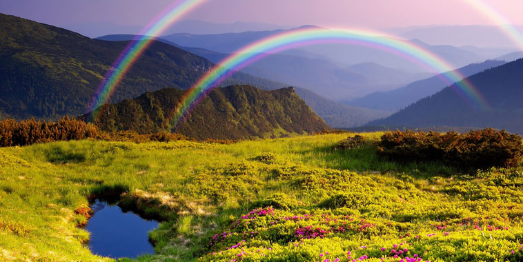 读出恩典 《创世记》 音频 陈牧（128全）