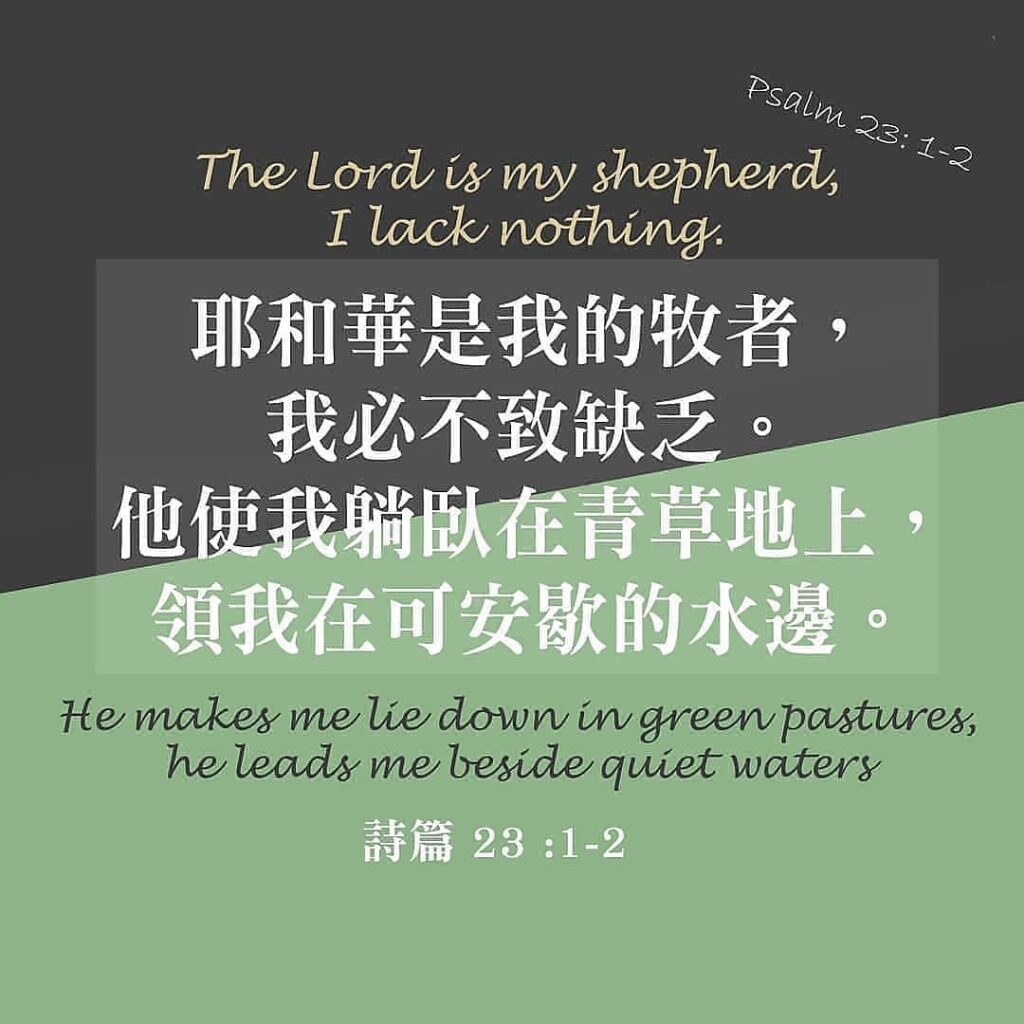 大卫的功课 有声书 安德烈