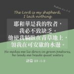 大卫的功课 有声书 安德烈