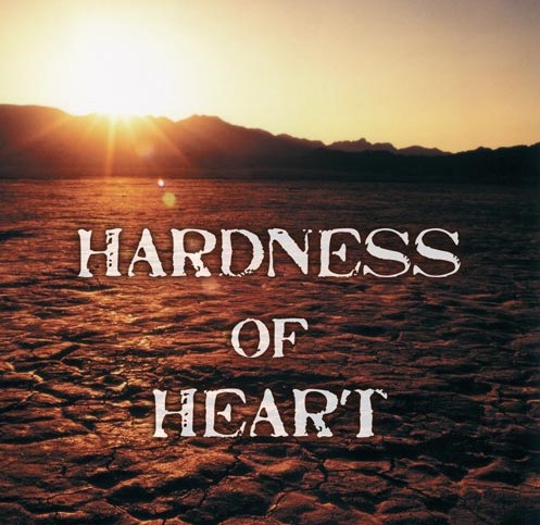 刚硬的心 有声书 安德烈