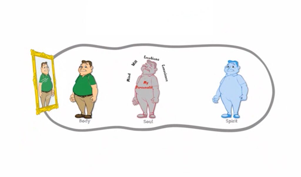 灵魂体 有声书 安德烈