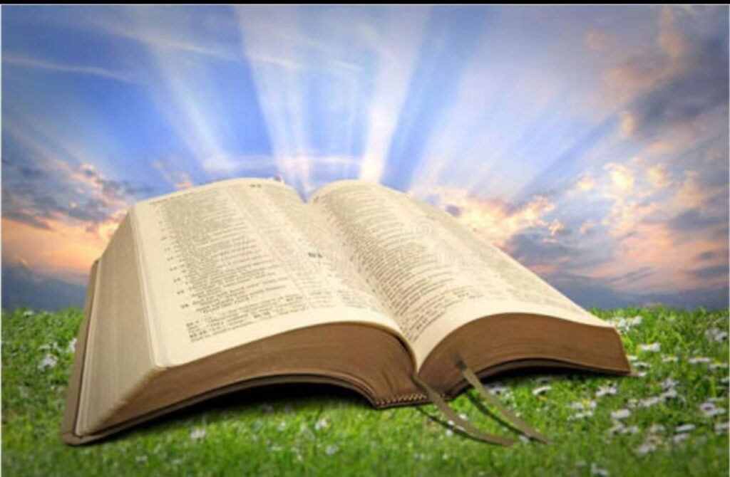 读出恩典 《约翰福音》 音频 陈牧（72全）