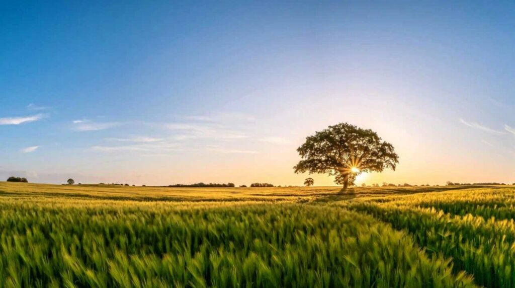 恩典100天 有声书 平牧