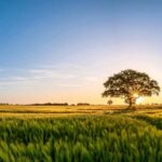 恩典100天 有声书 平牧