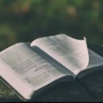 正确的思想与错误的思想 有声书 甘坚信（2026-1-31更新 电子书）