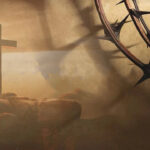 领受医治和健康系列 平牧