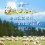 约尔讲道（76-100）