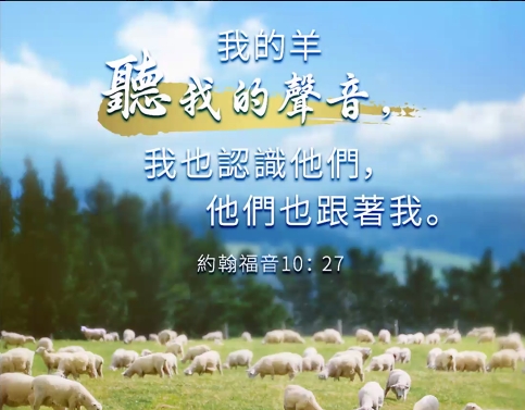 约尔讲道（76-100）