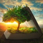 读出恩典-《创世记》文字 陈牧（128全）