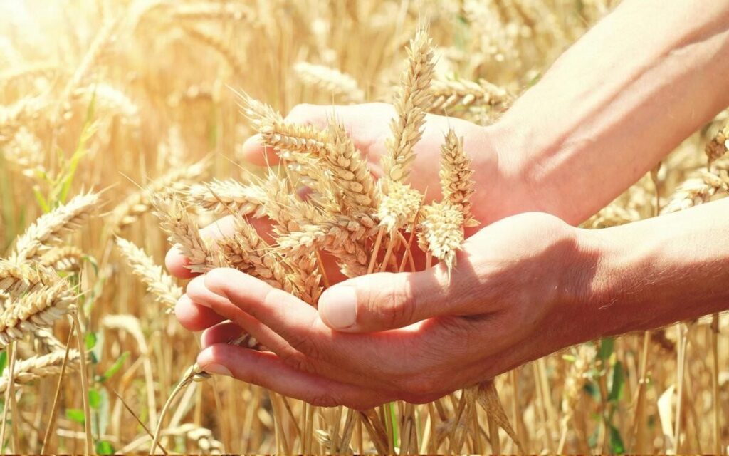 活出兴盛系列讲道 平牧