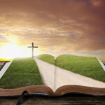 文档专区 2025 玛利亚