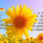 心欢喜灵快乐 诗歌精选 盛晓玫陪伴系列