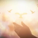 神迹时刻 2025 香香（191-212）