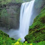 医治的简单之道 库里