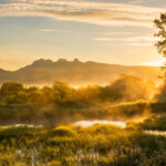 乔伊斯讲道 独家配音 2025