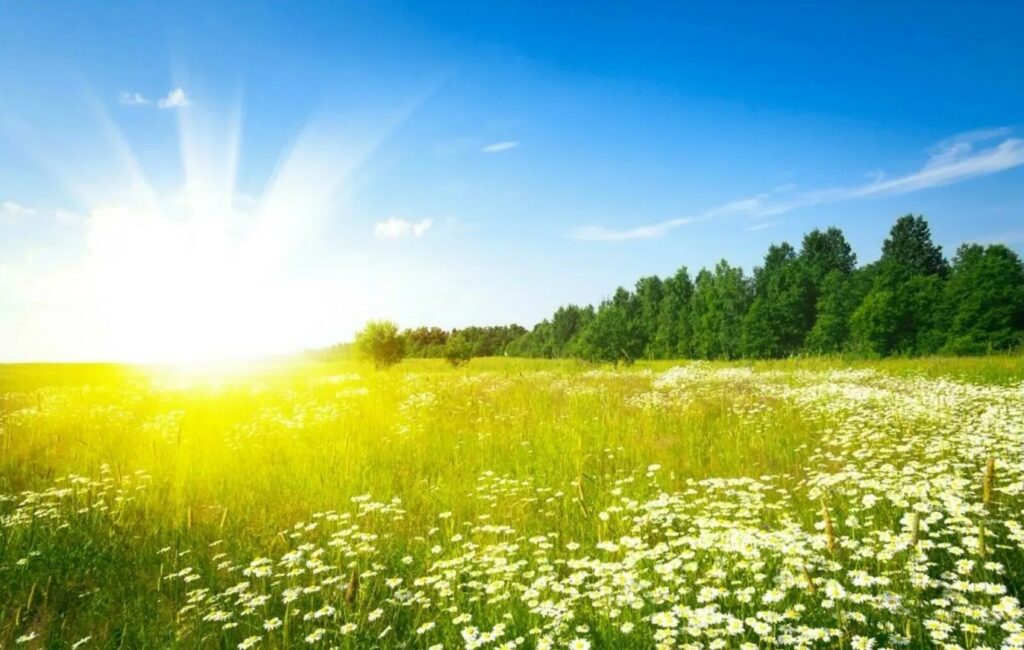 每日灵修 约尔（五十章完结）