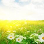 早安宝贝 持续更新 香香（2026-2-21更新13上帝的供应 远超过你所求所想）