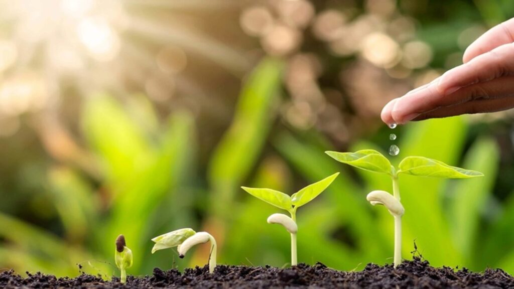 【推荐】神带领我们成长快慢的三个重要因素系列 玛利亚