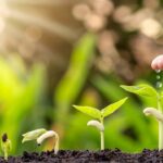 【推荐】神带领我们成长快慢的三个重要因素系列 玛利亚